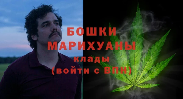 сатива Беломорск
