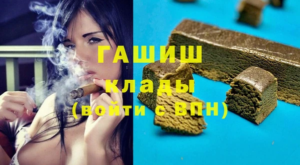 сатива Беломорск