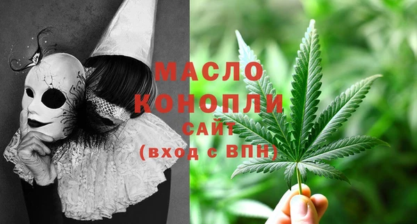 сатива Беломорск