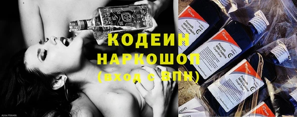 сатива Беломорск