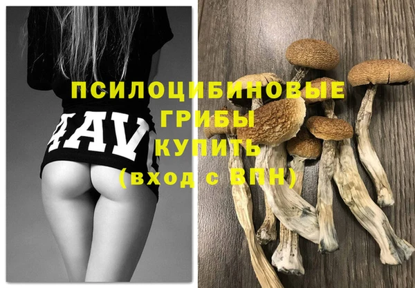 метадон Белокуриха