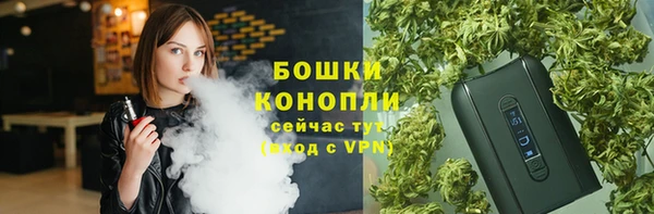 сатива Беломорск