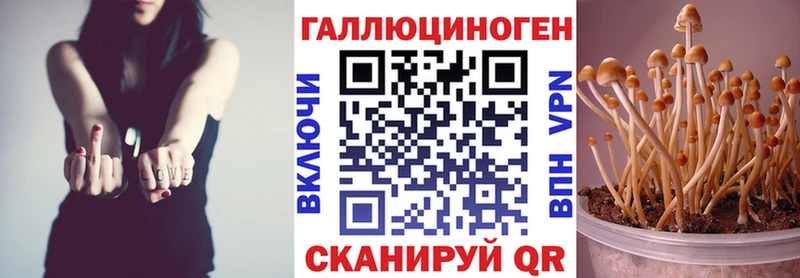 Галлюциногенные грибы Psilocybe Вихоревка