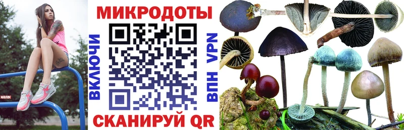 Псилоцибиновые грибы Cubensis  kraken вход  Вихоревка 